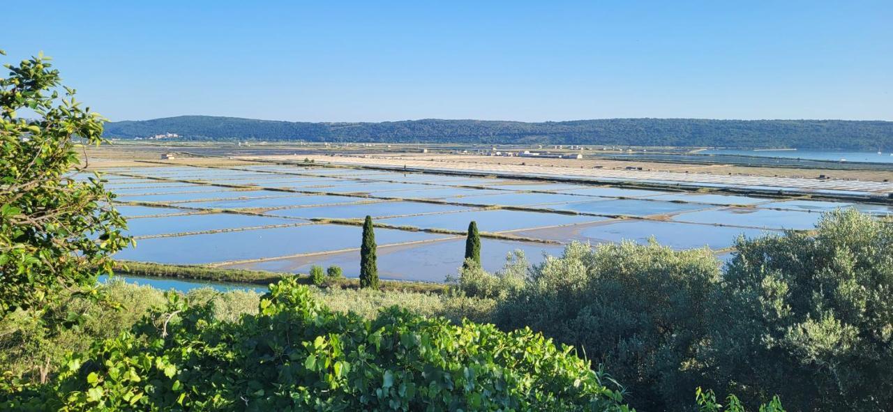 Apartment Salt Pans View